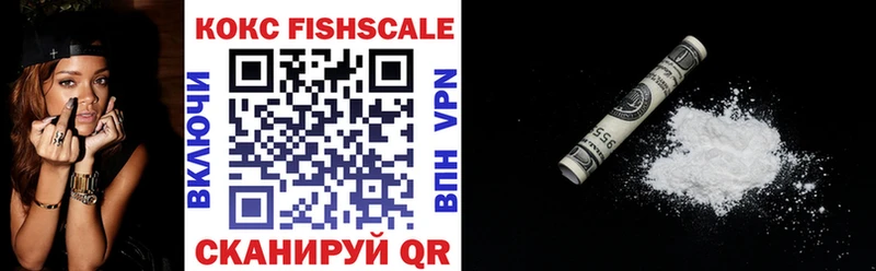 COCAIN Fish Scale  Купить где  Беломорск 